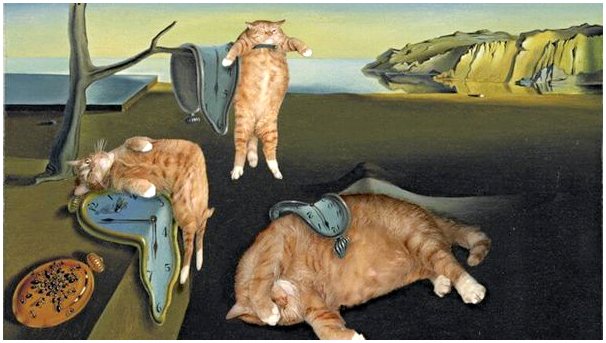 Художники, превращающие произведения искусства в работы кошек