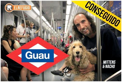 В мадридском метро проблема не в собаке, а в ее хозяине.