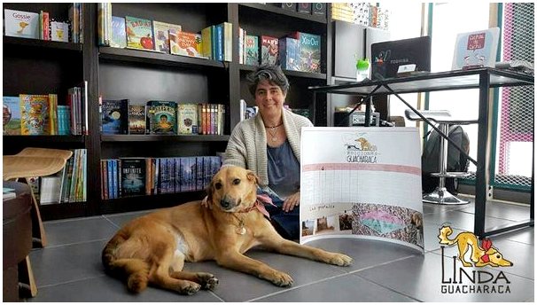 Книга, написанная колумбийской собакой