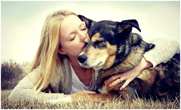 5 действий, которые делают вашу собаку счастливой