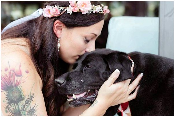 Собака с опухолью головного мозга умерла после свадьбы хозяина