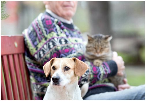 Пожилые люди и собаки: проверенный симбиоз