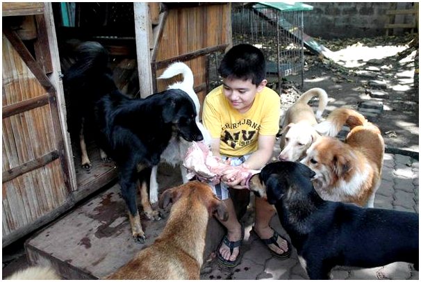 Мальчик открыл собственный приют для животных