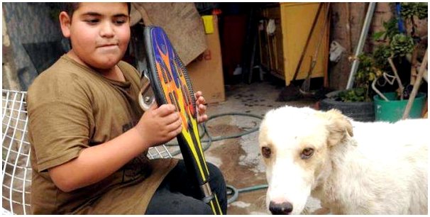 Мальчик продает свой скейтборд, чтобы купить лекарство для бездомной собаки