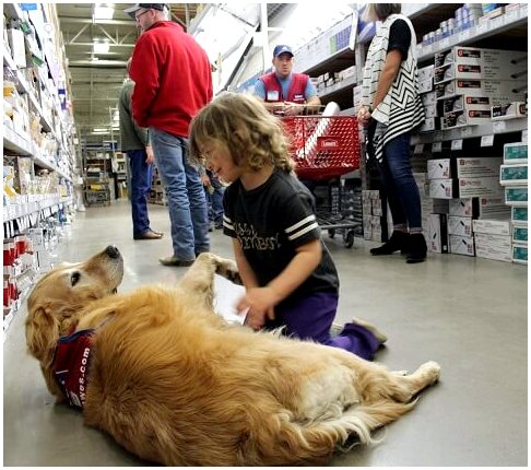 Ветеран войны и его собака-поводырь наняты в магазин