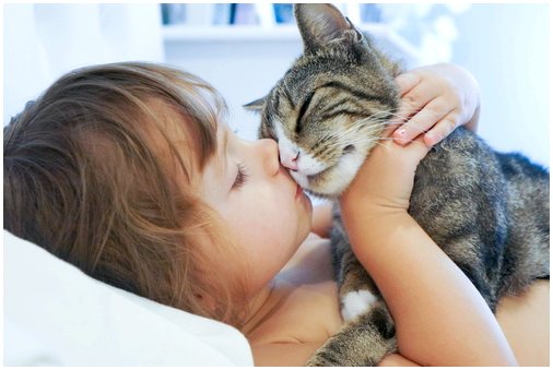 5 уроков, которым дети могут научиться у кошек