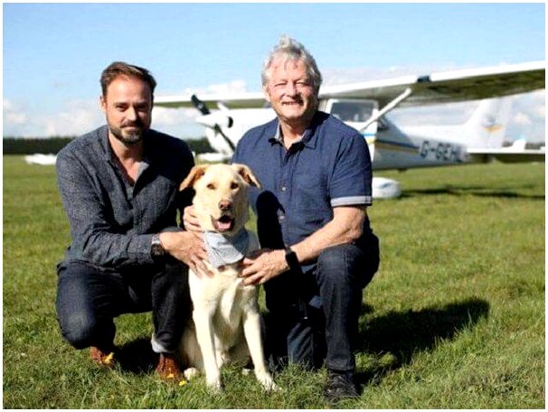 Собаки-пилоты самолетов, работа с очень благородной целью