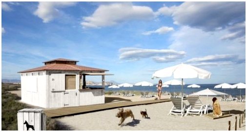 Откройте для себя пляжи Испании и Португалии, где летом можно взять с собой собаку.