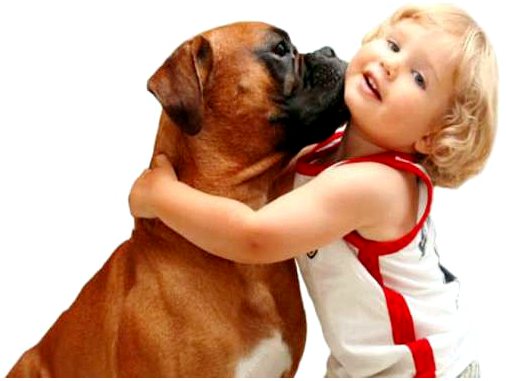 Ученые подтверждают, что поцелуй с собакой полезен для здоровья
