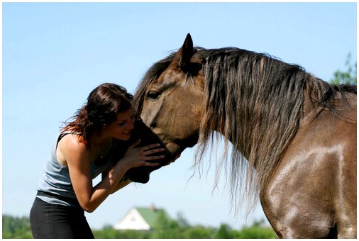 Преимущества терапии лошадьми для людей с ограниченными возможностями