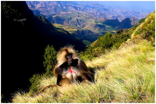 5 национальных парков Африки, которые нельзя пропустить