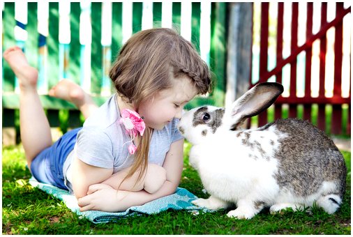 Дети с домашними животными более ответственные и чуткие