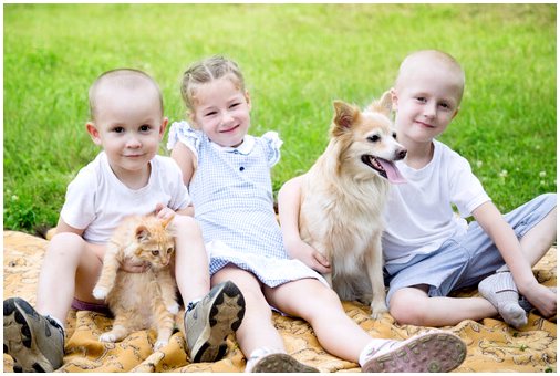 Согласно исследованию, дети с домашними животными счастливее