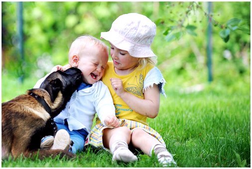 Дети и собаки: ответственность в любом возрасте