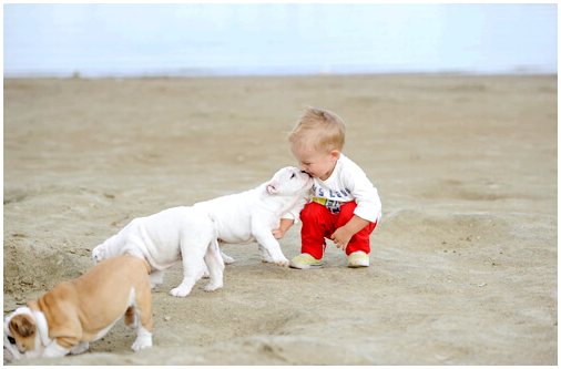 Узнайте, как собаки улучшают здоровье ребенка