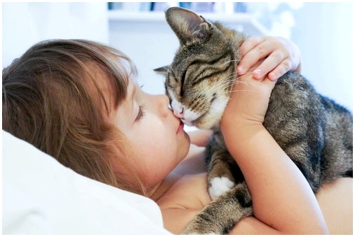 5 преимуществ сна с кошкой