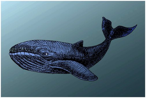 Китовые диковинки