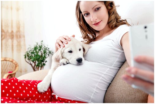 Домашние животные при беременности
