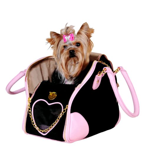 Хорошо ли носить собаку в сумке?