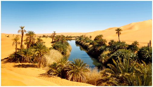 Любопытство о пустыне Сахара, самой большой пустыне на планете