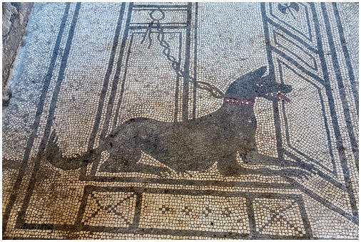 Животные в Древнем Риме