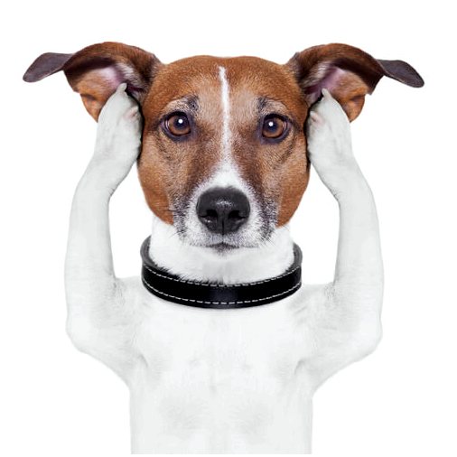 Глухота у собак, как распознать