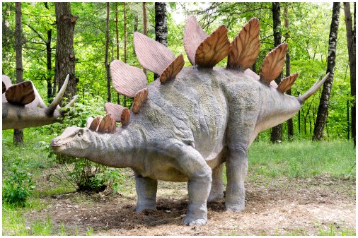 Виды травоядных динозавров