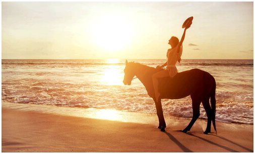 Могу ли я кататься на лошади по пляжу?