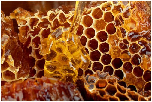 Пчелы: как производят и собирают мед