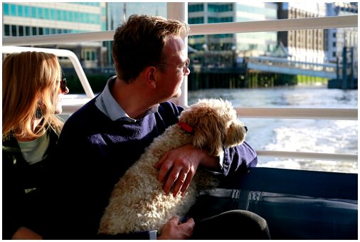 Советы, как взять собаку на лодке