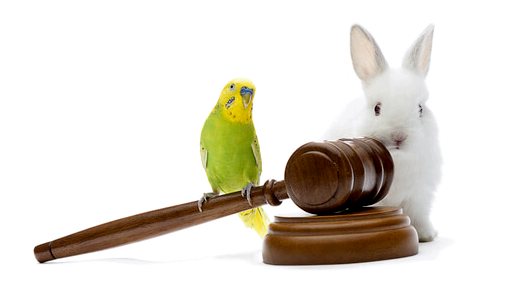Международные законы о животных