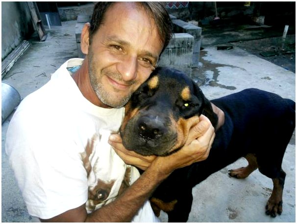 Фотографии собак до и после спасения