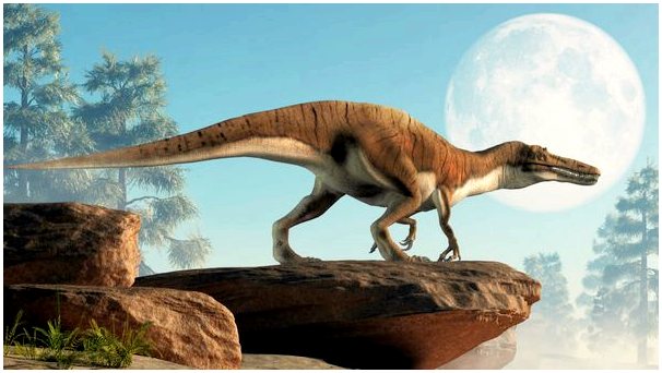 Где жили динозавры?