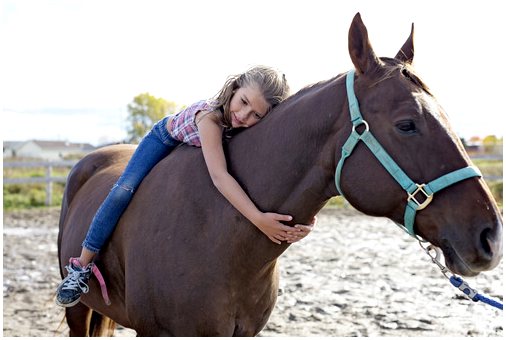 Преимущества терапии лошадьми для людей с ограниченными возможностями