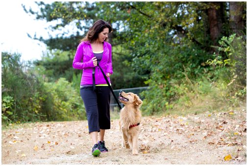 Советы для пеших прогулок с собакой