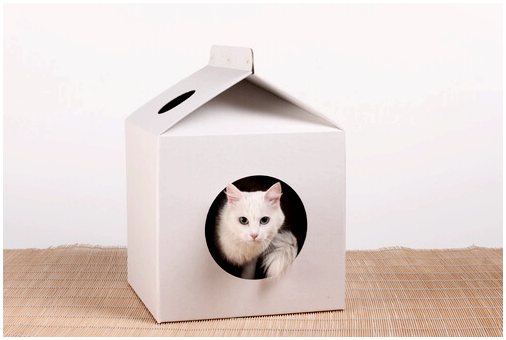 4 совета, как построить дом для кошки