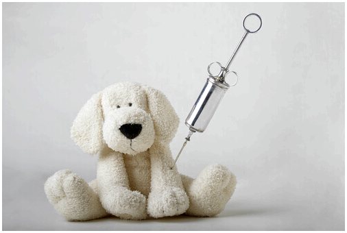 Ветеринарная иммунология: для профилактики и лечения заболеваний