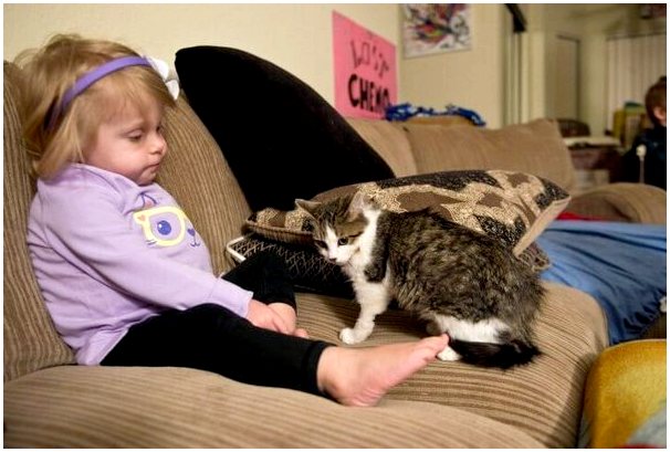 Лучшие друзья: трехногого котенка удочерила девочка с ампутированной рукой