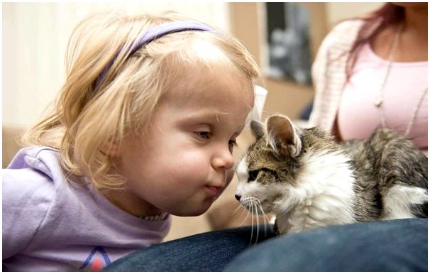 Лучшие друзья: трехногого котенка удочерила девочка с ампутированной рукой