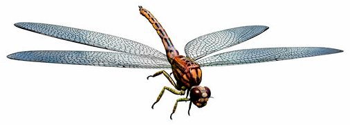 Правление гигантских насекомых