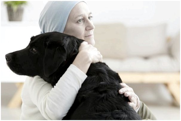 Этот проект обучает собак обнаружению рака