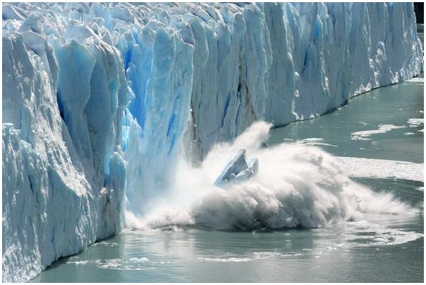 Влияние изменения климата на полярную фауну