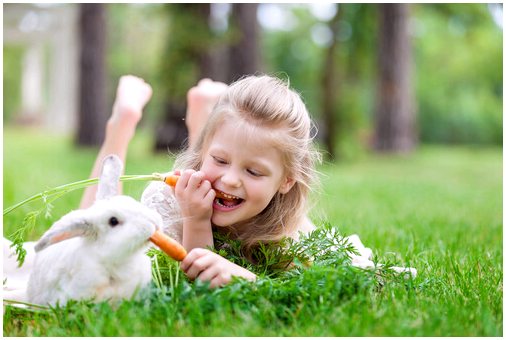 4 совета, как кролику жить дольше