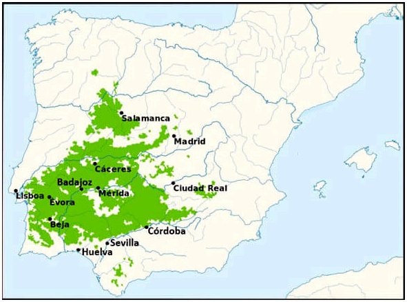 Испанские пастбища - источник неожиданного богатства