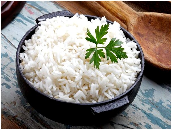 Полезен ли рис для собак?