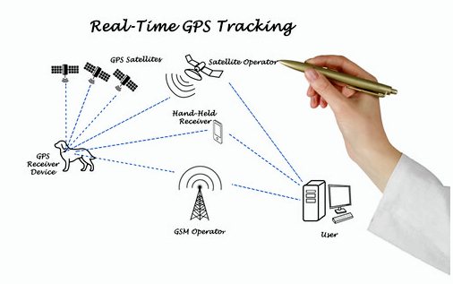 Узнайте о GPS-локаторах для собак