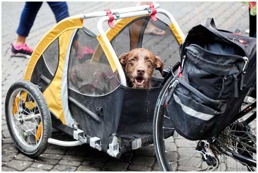 Велосипедный прицеп для выгула собак