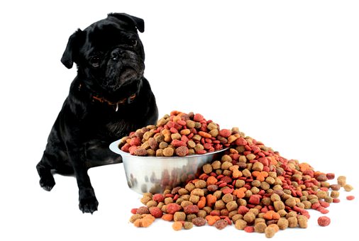 Биологическая ценность белков, содержащихся в кормах для собак