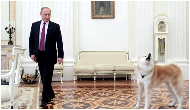 Собака Владимира Путина пугает японских журналистов
