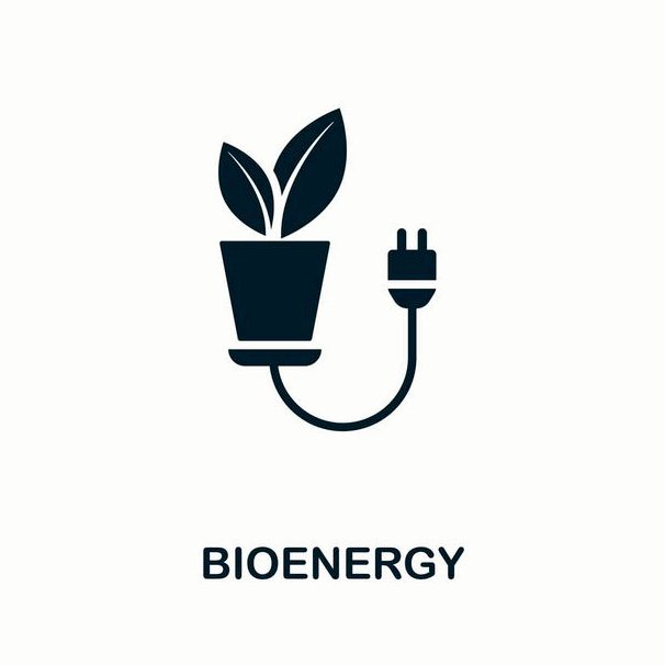 Что такое биоэнергетика?